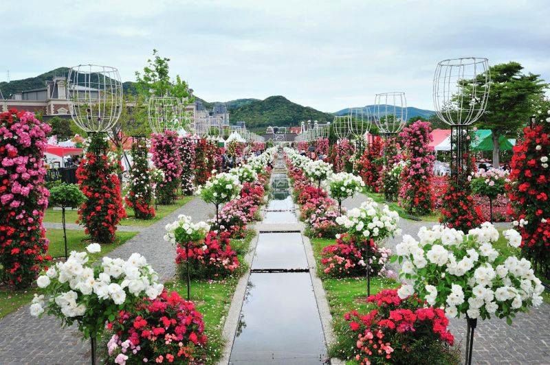 Quảng trường lễ hội hoa hồng Bulgaria