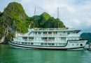 Tìm hiểu tour du thuyền hạ long 2 ngày 1 đêm của Khát Vọng Việt – Kavo Travel chất lượng thế nào?