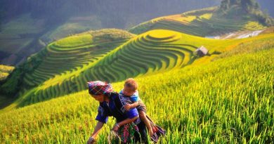 Các yếu tố ảnh hưởng đến giá tour du lịch Mù Cang Chải 