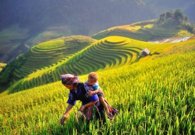 Các yếu tố ảnh hưởng đến giá tour du lịch Mù Cang Chải 