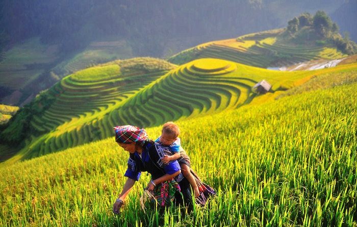 Các yếu tố ảnh hưởng đến giá tour du lịch Mù Cang Chải 