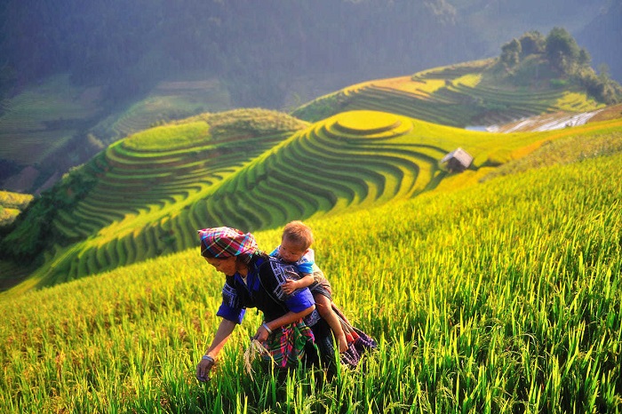Các yếu tố ảnh hưởng đến giá tour du lịch Mù Cang Chải 